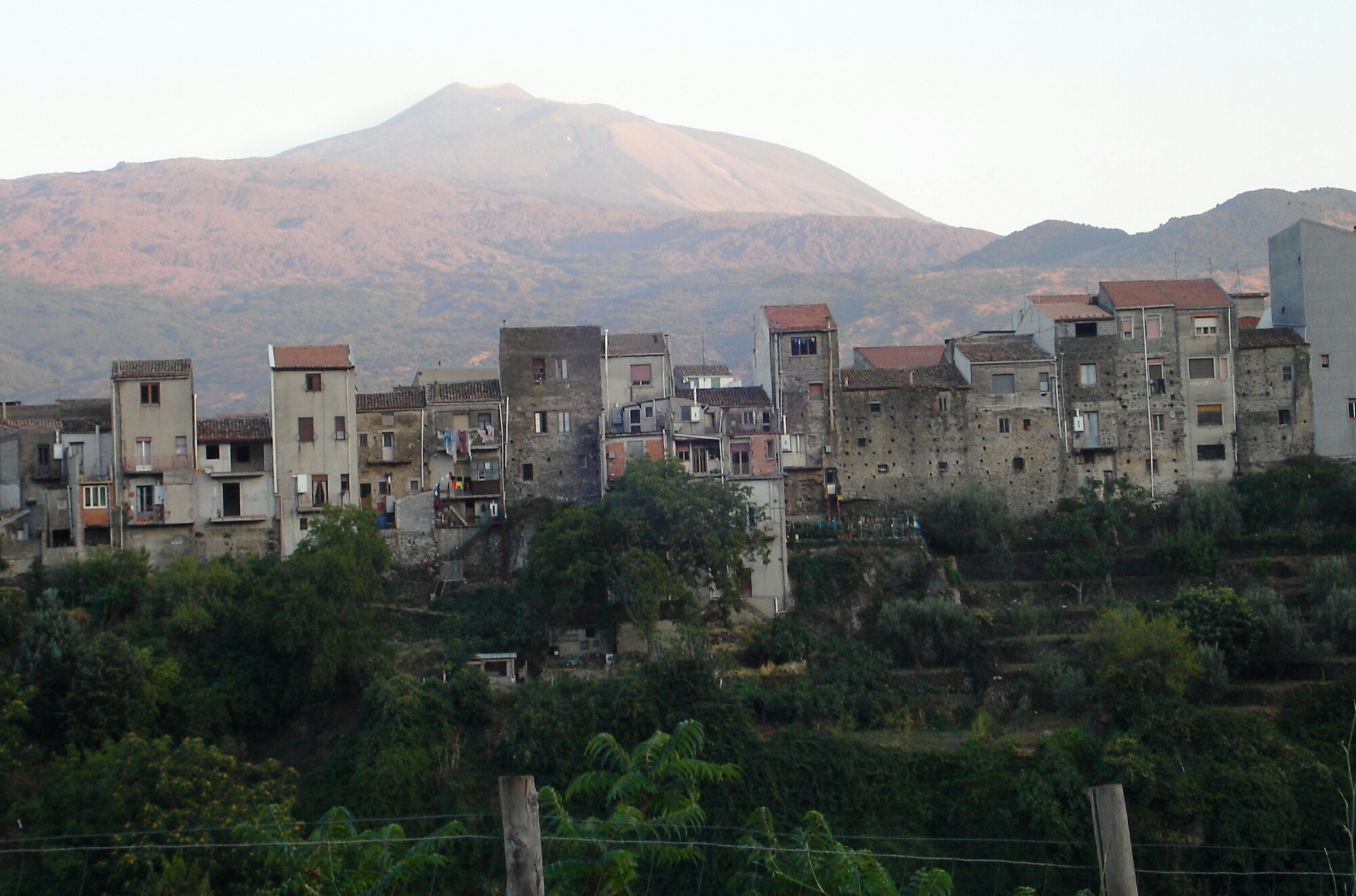 2010 randazzo (10).JPG image