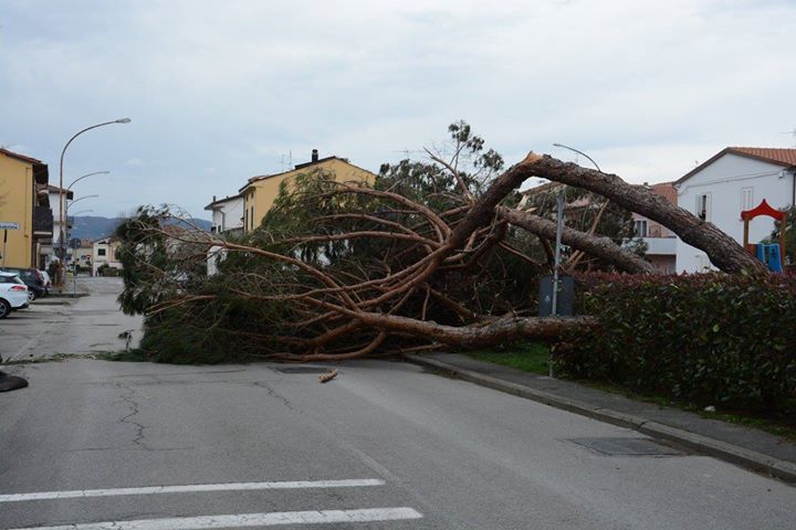 IMG-20150306-WA0002.jpg image