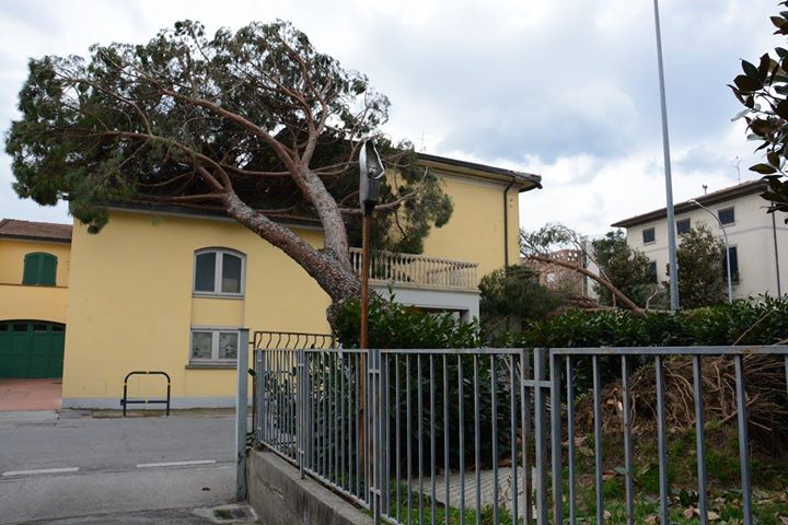 IMG-20150306-WA0003.jpg image