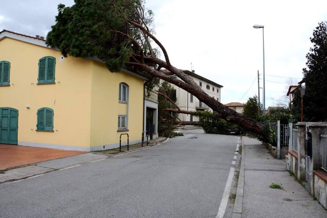 IMG-20150306-WA0006.jpg image