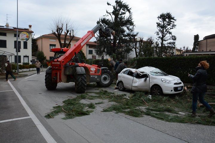 IMG-20150306-WA0008.jpg image