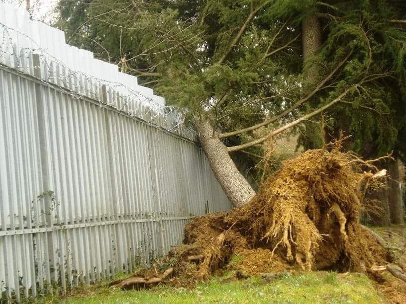 IMG-20150306-WA0010.jpg image