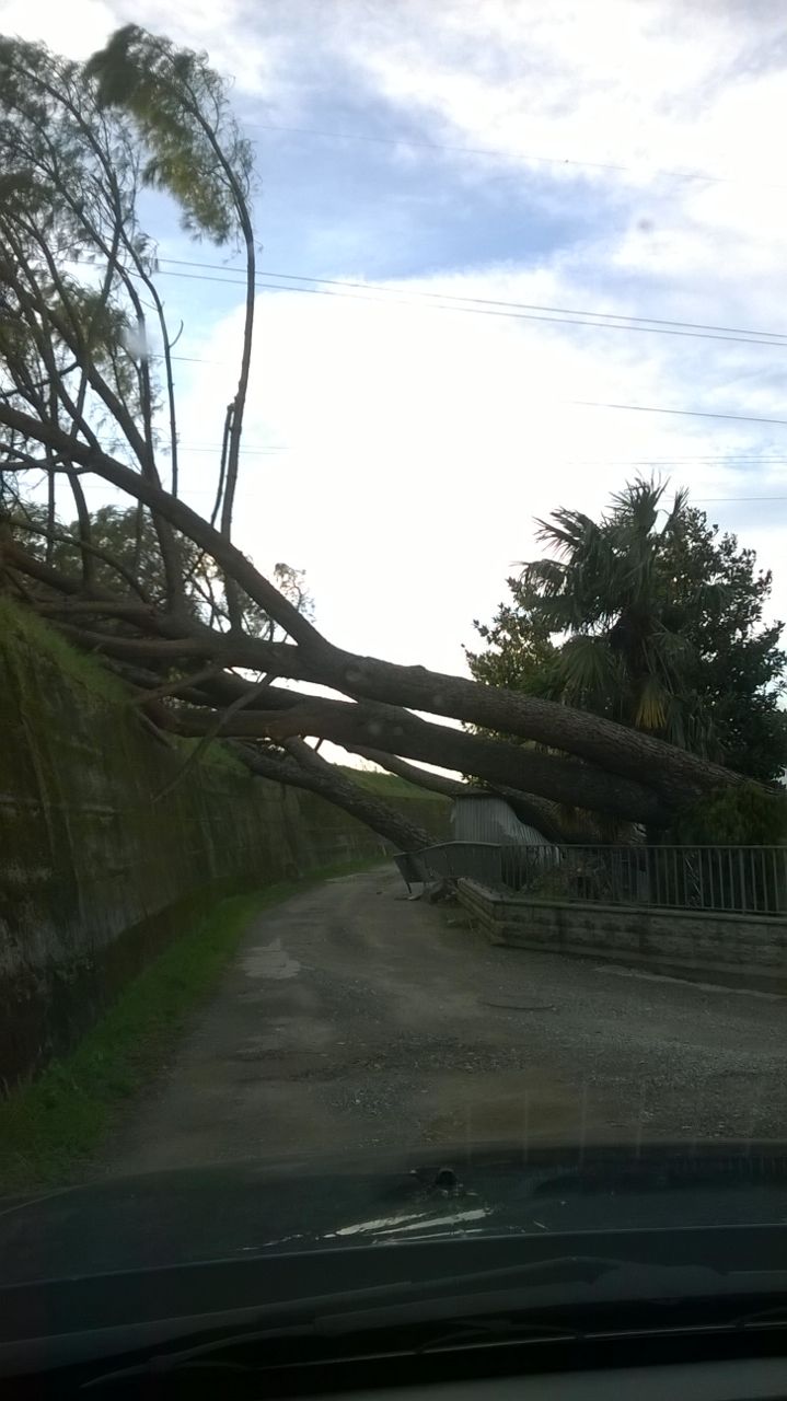 IMG-20150306-WA0017.jpg image