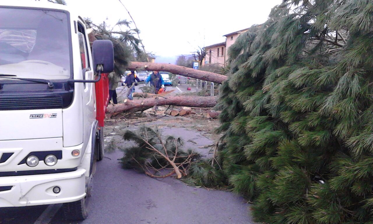 IMG-20150306-WA0019.jpg image