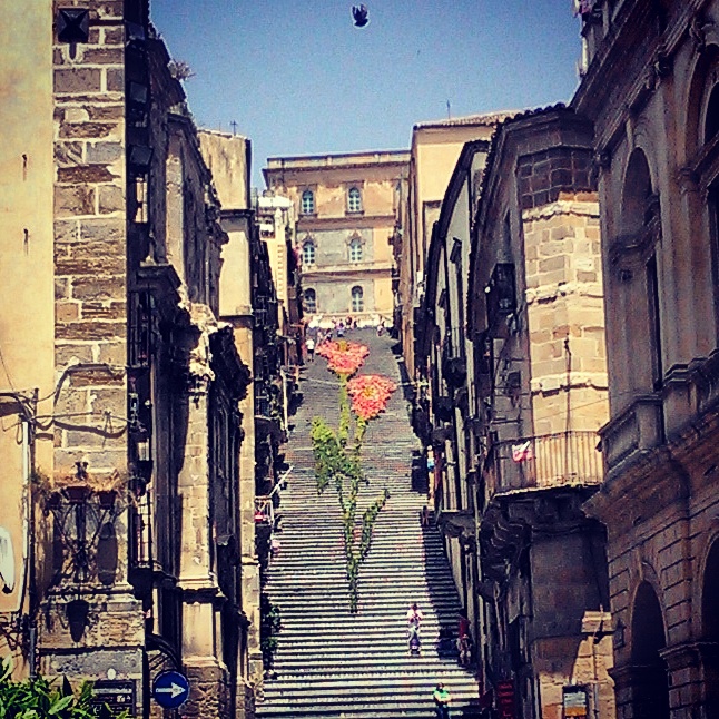 IMG_20150615_123117.jpg image