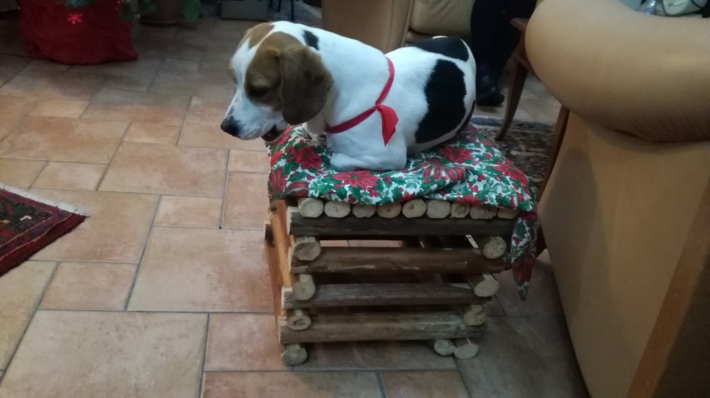 I furrizzi di Don Alfio Giglio. Papà e il suo utile Artigianato fatto a mano, piante legnose dell’Etna, esempio la&nbsp;Ferula